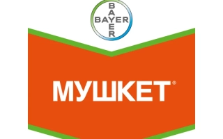 Логотип продукта МУШКЕТ на оранжевом фоне с логотипом Байер сверху. - Мушкет 20 WG