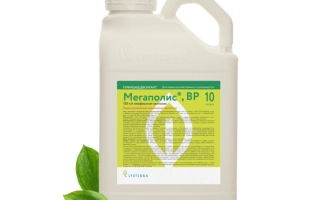 Bottle with desiccant RK on green label