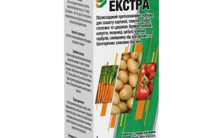 Упаковка гербицида Норвел Экстра с изображением овощей и фруктов - Нобль, в.р., (АДГ ?)