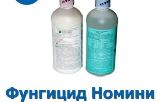 НОМИНИ 400 К.С., + ПАР А-100