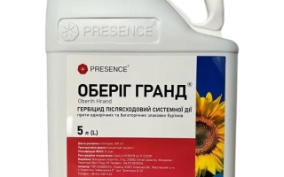 Оберіг Гранд