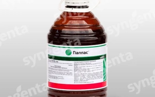 Паллас 45 ОD о.д.