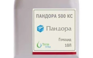 ПАНДОРА 500