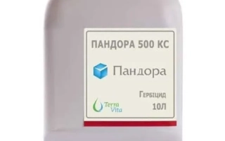 Пандора 500 КС