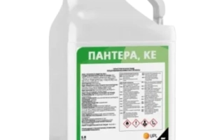 Белая канистра с этикеткой ПАНТЕРА, КЕ - Пантера к.е.