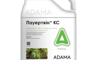 Пауертвин КС