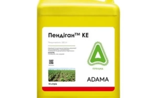Пендиган КЕ