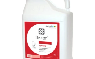 Пилот, КС, гербицид