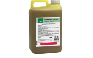 Пирамин Стар к.с.