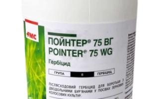 Пойнтер 75,в.г.