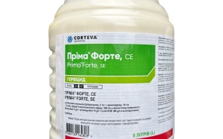 Прима Форте