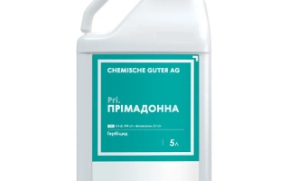 Примадонна