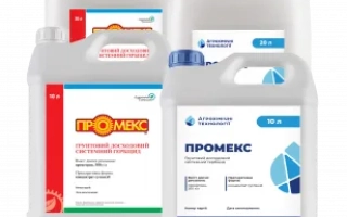 Промекс, КС