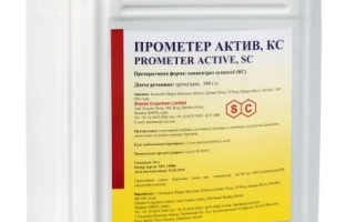Прометер Актив