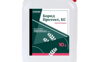 Протекс, КС