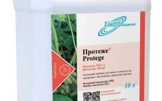 Protezhe, RC, (Bentazon, 560 g