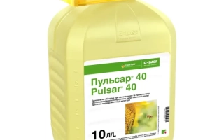 Pulsar® 40