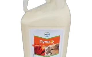 Пума Супер 144 ЕW