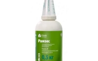 Рамзес, в.г., (Римсульфурон, 250 г/кг)