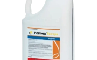 Рейкер Екстра, МД (Raker Extra OD)