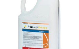 Рейнлид Екстра (Rainlid Xtra, WG)