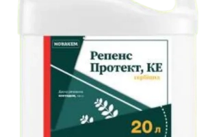 Репенс Протект