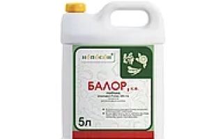 RICH, EC, (Галисульфопроп-этил, 125 g/l)