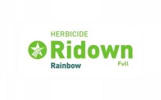 Ридуан (Ridown, SL)