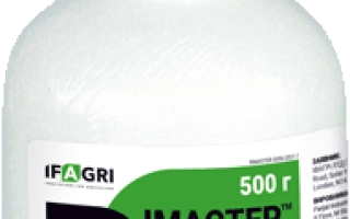 Римастер, ВГ