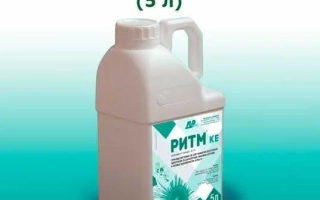 Ритм, КЕ, гербицид