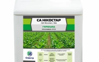 СА Никостар (SA Nicostar)
