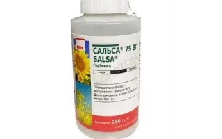 Bottle of herbicide Salsa 75 with label on white background