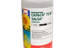 Сальса 75 ЗП