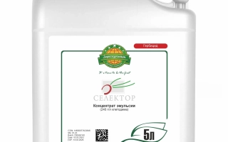 СЕЛЕКТОР К.Е.