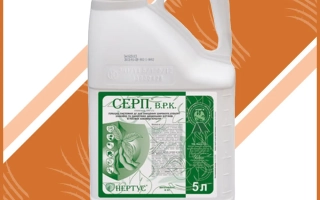 Serp, w.r.k., (имазетапир, 100 g/l)