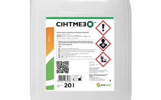 Сінтмезо SЕ