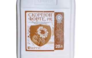 Scorpion Forte