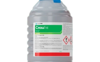 Слаш, КЕ (Slash, EC)