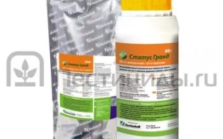 Статус Гранд РГ