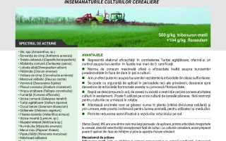 Статус Гранд ВГ