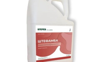 Stefamba, РК (диквамба в форме диметиламиновой соли, 480 г/л)