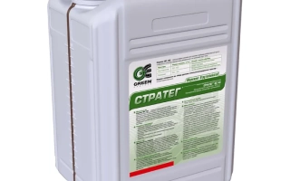 Стратег SС к.с.