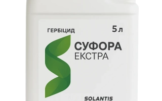 Суфора Екстрем