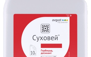 Каністра з гербіцидом Суховій - Суховій в.р.к. Десикант (Дикват дибромід, 200 г/л)