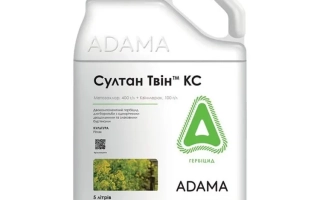 Султан Твин