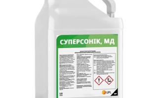 Суперсоник