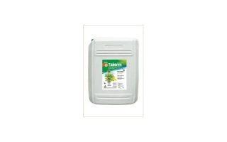 ТАЙФУН, К.Е.