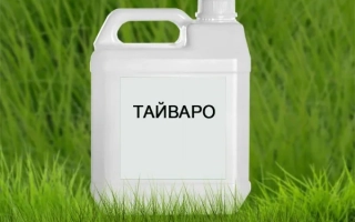 Тайваро