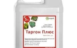 Таргон Плюс