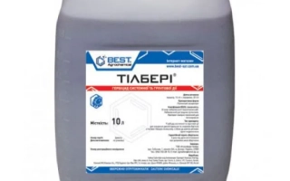 Тилбери, РК